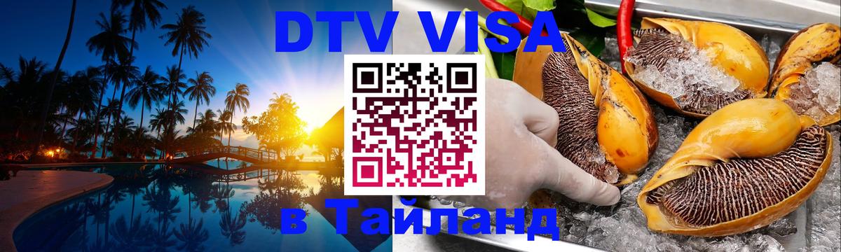 Оформление DTV визы под ключ: стоимость и тарифы, только загранпаспорт - Вадуц  20.11.2025 